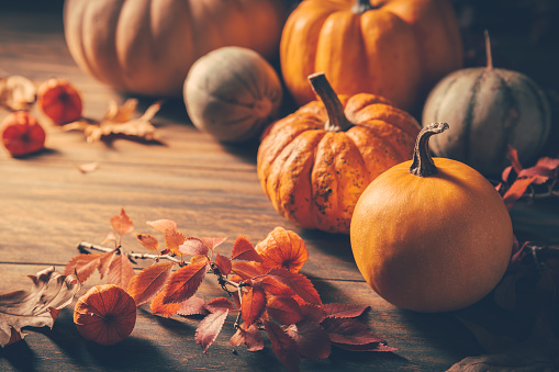 Fall Fall